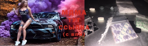 ешки Горняк