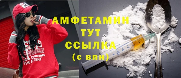 прущие крисы Щигры