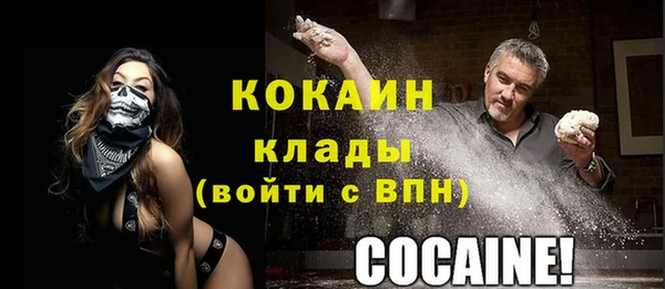 ешки Горняк